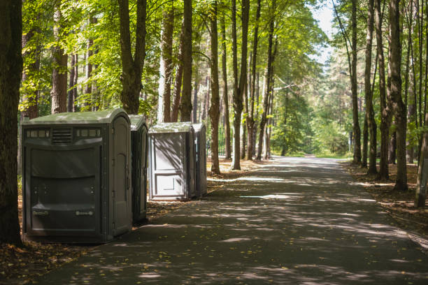 Best High-end porta potty rental  in Alb, IA